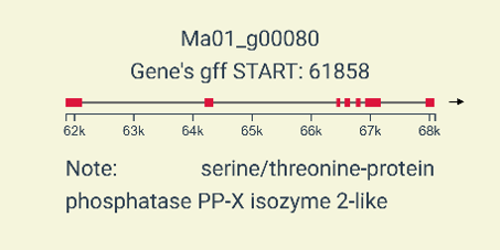 Example of an Annotation Card Snapshot of an Annotation Card displayed on hovering the annotation track